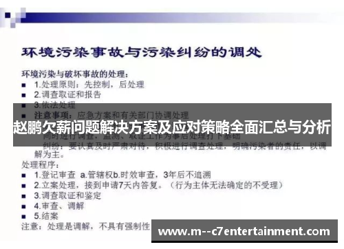 赵鹏欠薪问题解决方案及应对策略全面汇总与分析