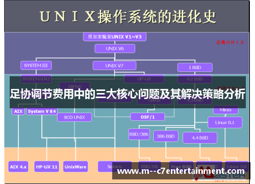 足协调节费用中的三大核心问题及其解决策略分析 足协调节费用中的三大核心问题及其解决策略分析